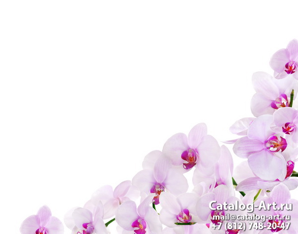 Pink orchids 79